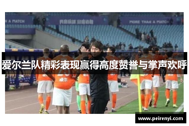 爱尔兰队精彩表现赢得高度赞誉与掌声欢呼