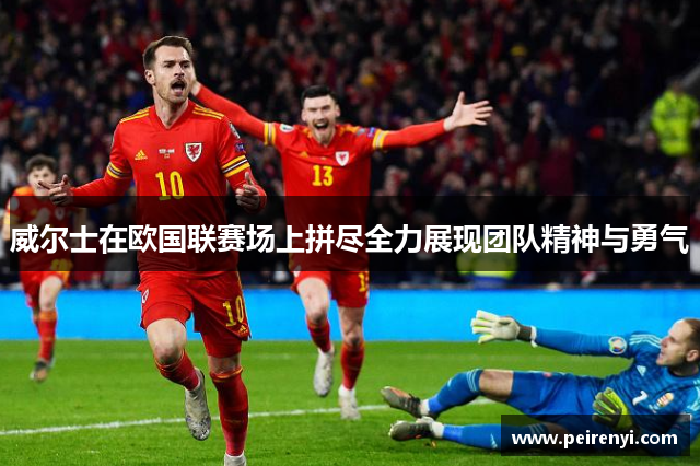 威尔士在欧国联赛场上拼尽全力展现团队精神与勇气