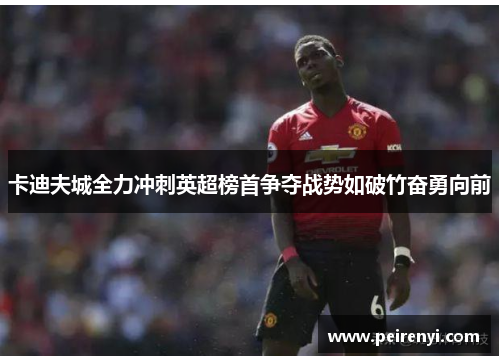 卡迪夫城全力冲刺英超榜首争夺战势如破竹奋勇向前