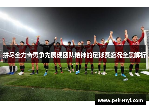 拼尽全力奋勇争先展现团队精神的足球赛盛况全景解析