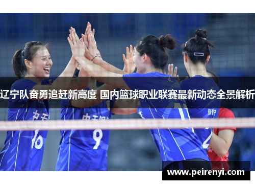 辽宁队奋勇追赶新高度 国内篮球职业联赛最新动态全景解析