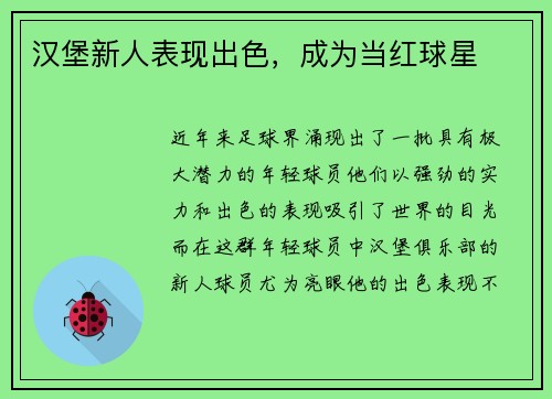 汉堡新人表现出色，成为当红球星