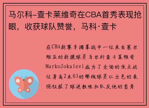 马尔科-查卡莱维奇在CBA首秀表现抢眼，收获球队赞誉，马科·查卡